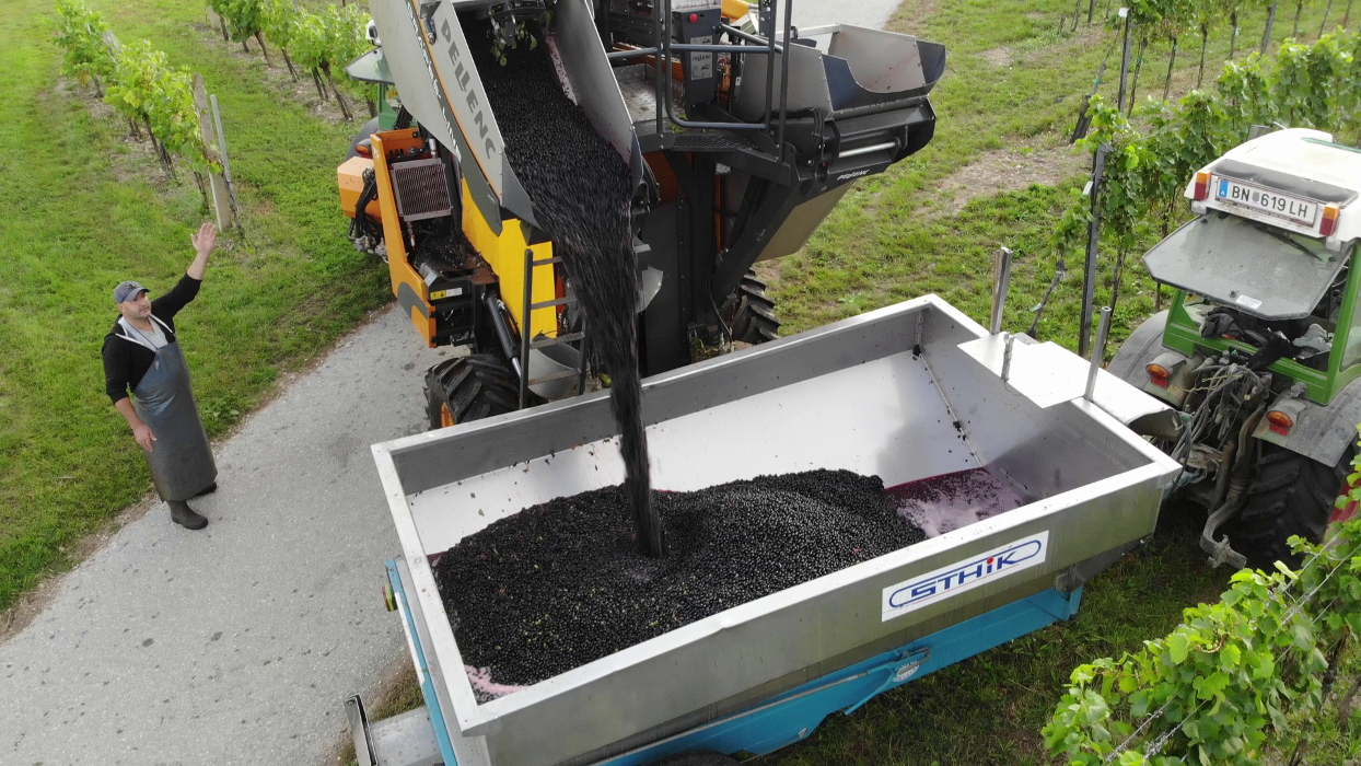 Schwertführer & Schwertführerinnen, Hauptstraße in Sooß