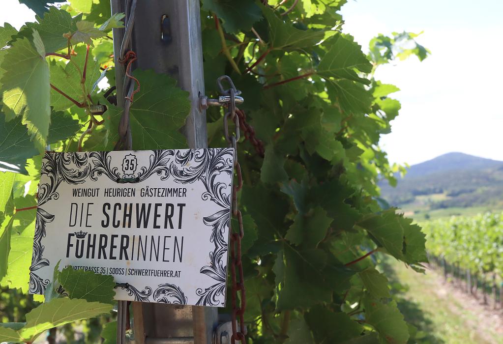 Schwertführer & Schwertführerinnen, Hauptstraße in Sooß