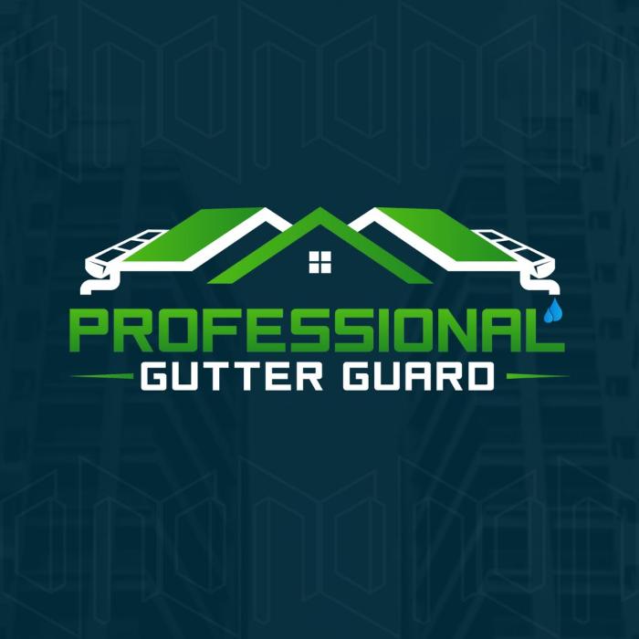 Professional Gutter Guard - Safety Harbor, FL