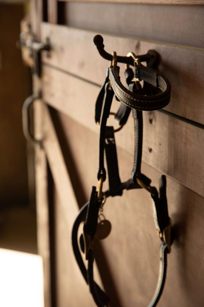 Fremont Hills Country Club - Los Altos Hills - Los Altos, CA