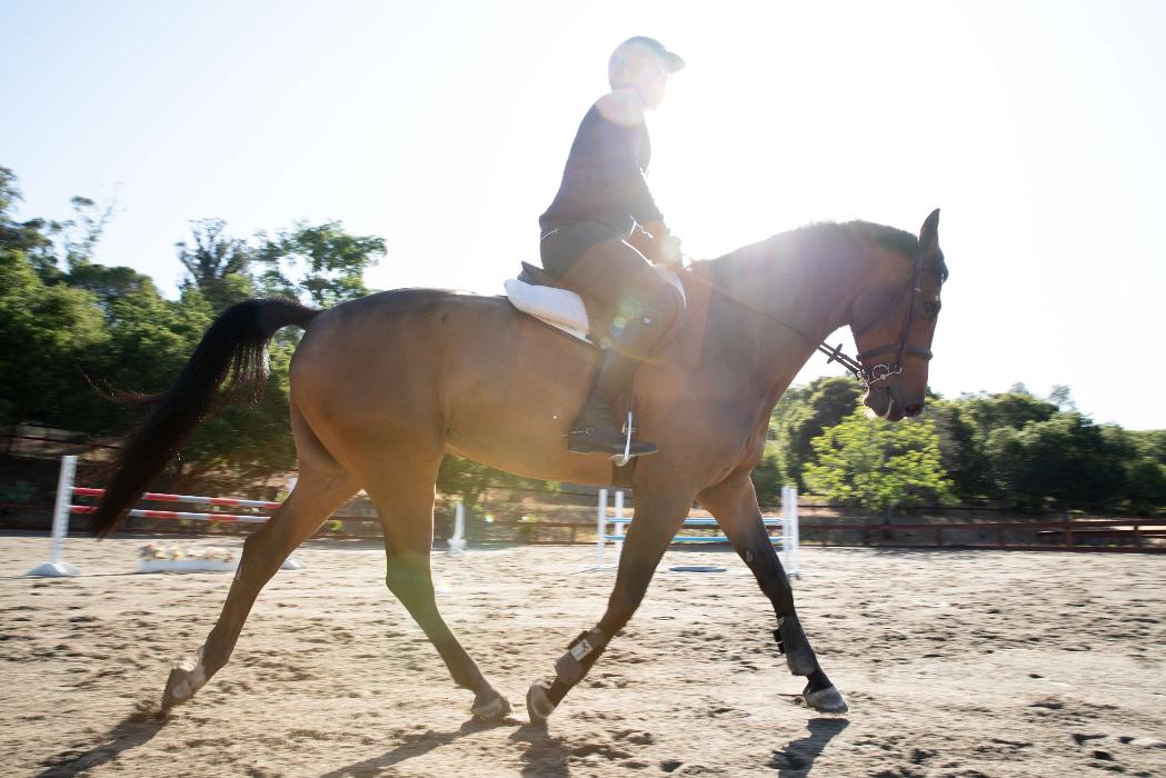 Fremont Hills Country Club - Los Altos Hills - Los Altos, CA