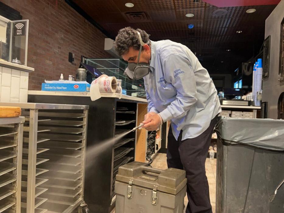 United Pest Exterminator - Croton on Hudson, NY