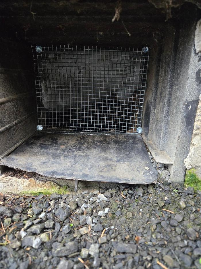 Dave's Deadbug LLC - Hillsboro, OR