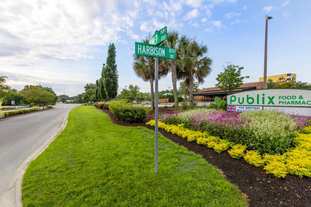 Rack Room Shoes Image