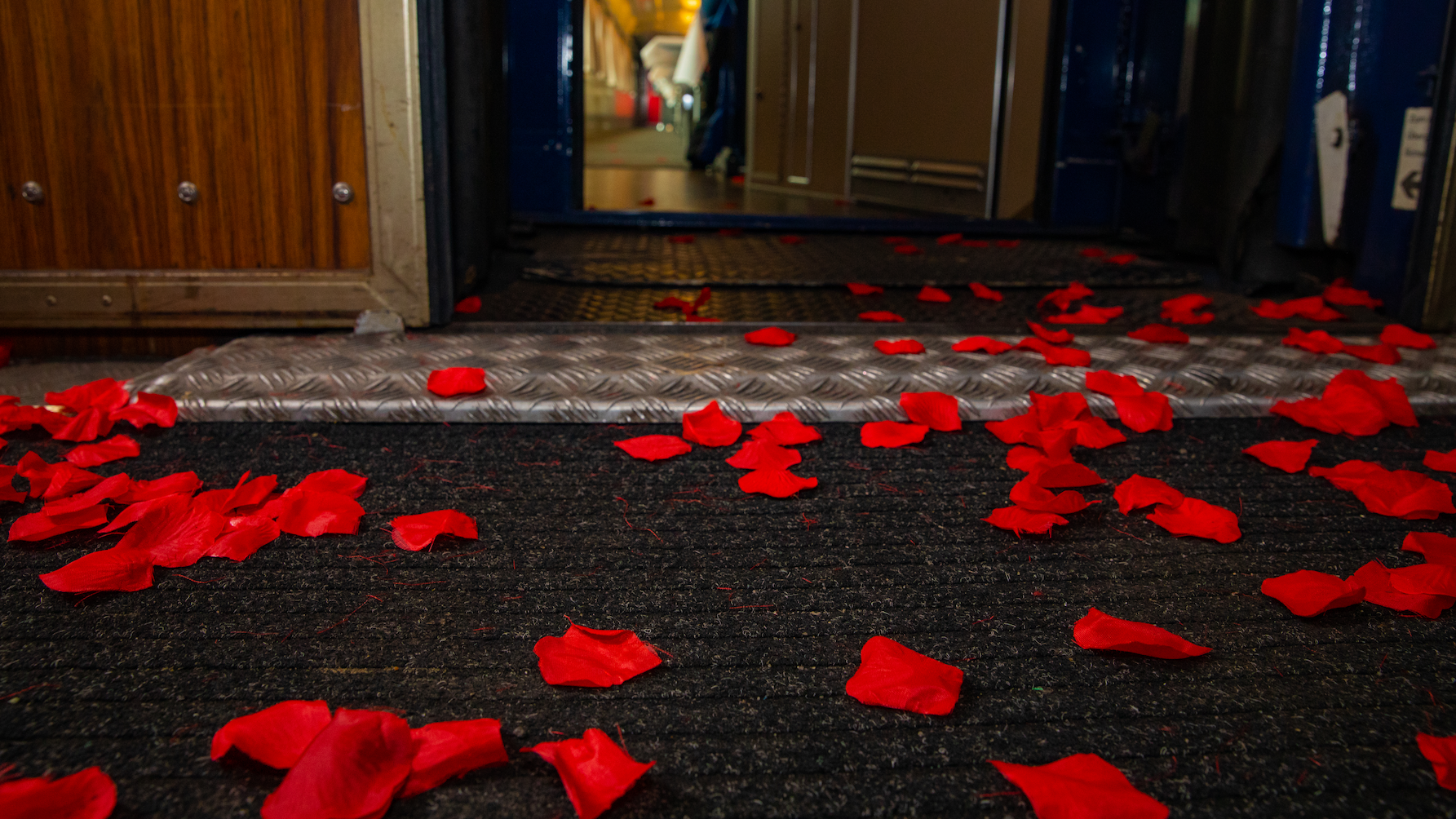 Sound Light Lenzke, Am Finkenschlag in Mönchengladbach