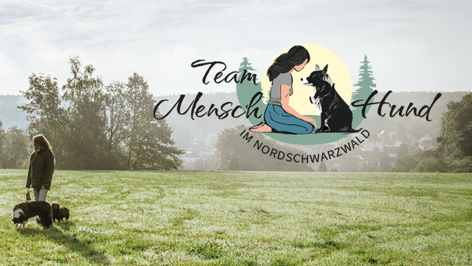 TEAMH Hundeschule Schömberg, Bergstraße in Schömberg