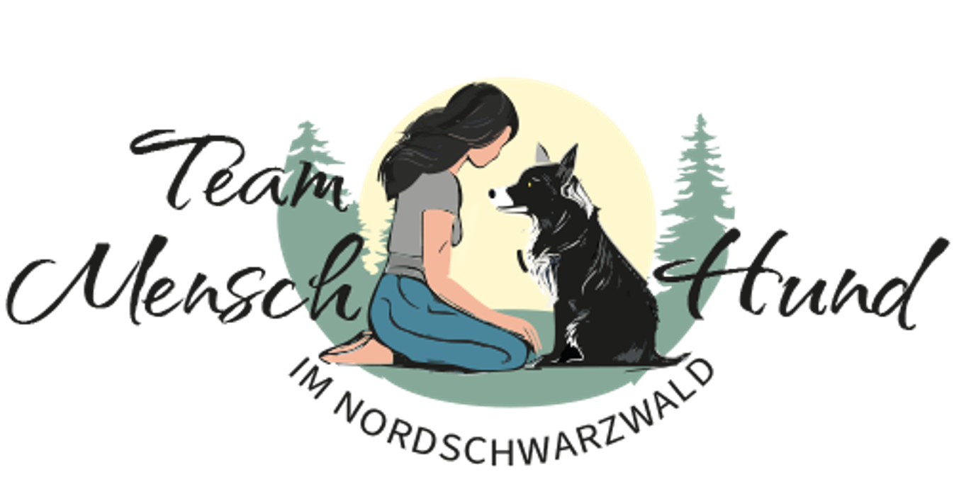 TEAMH Hundeschule Schömberg