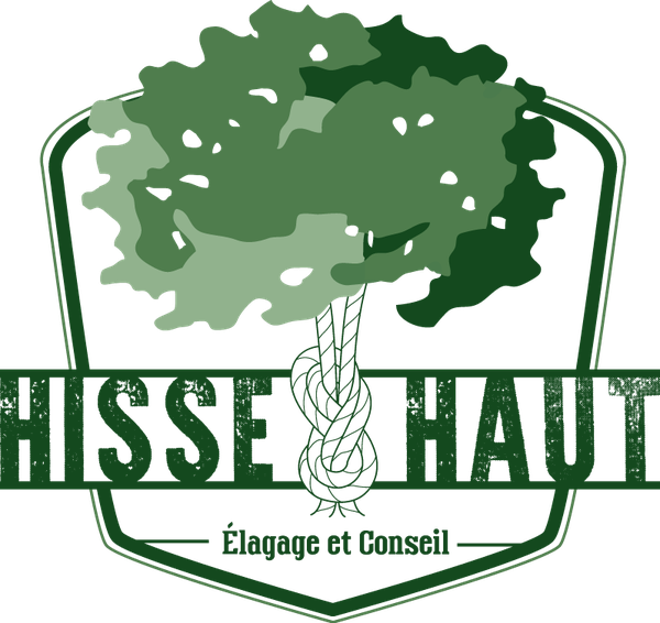 Hisse Et Haut Elagage Expert