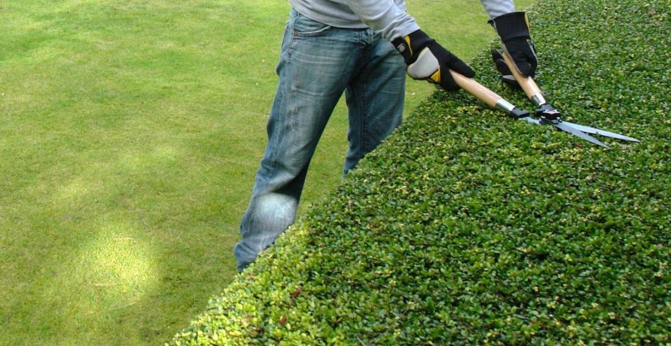 Steiner Garten-, Landschaftsbau GmbH, Baselstrasse in Münchenstein