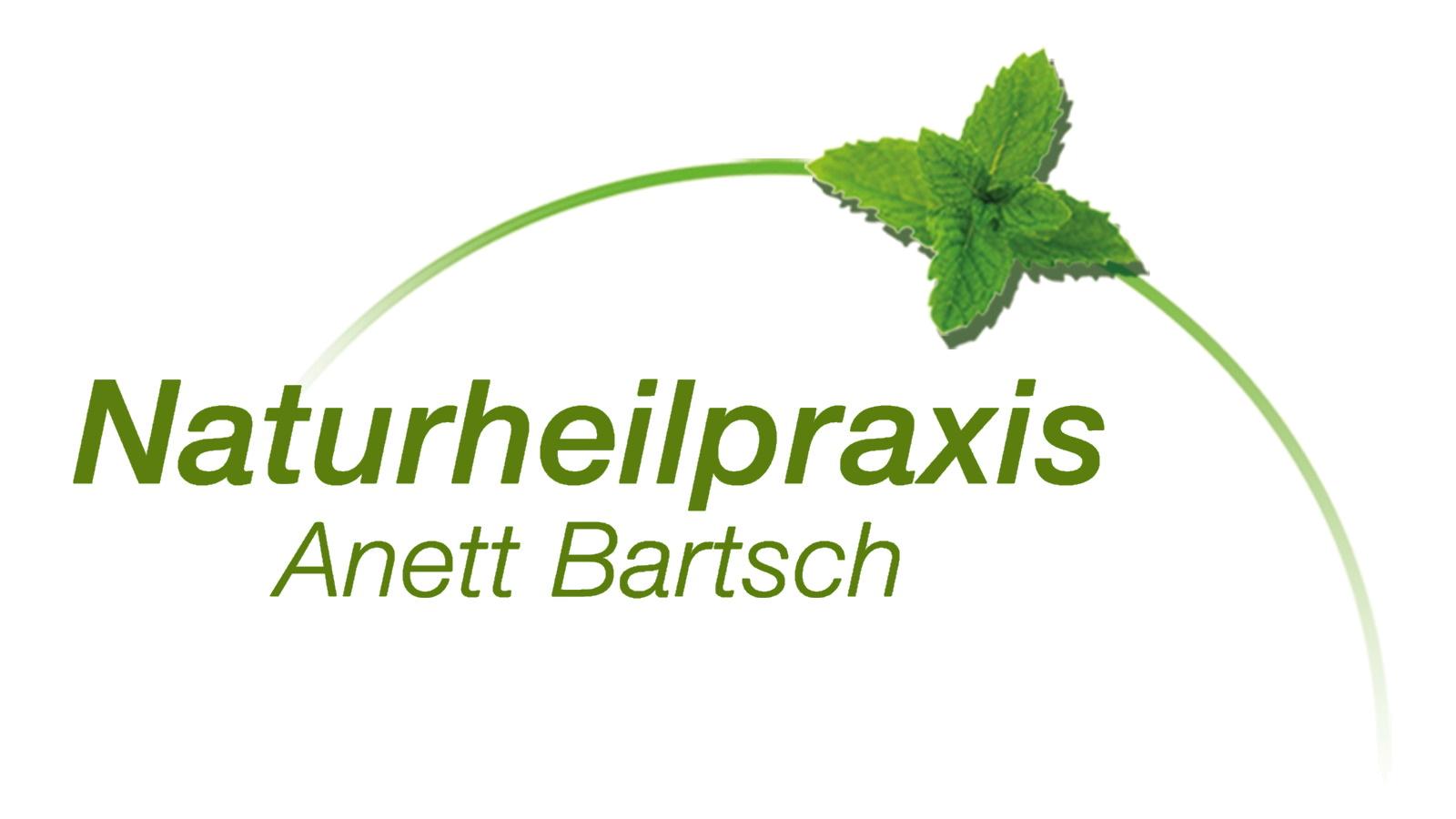 Naturheilpraxis Anett Bartsch, Krummer Ellenbogen in Niedergebra