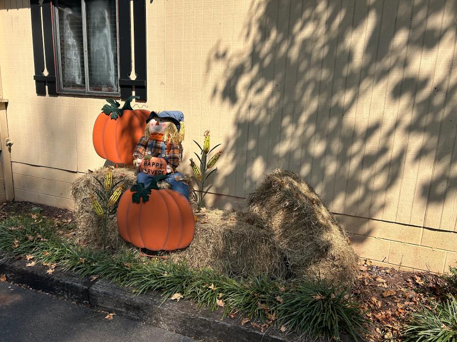 Luke's Pub & Steakhouse - Pine Mountain, GA