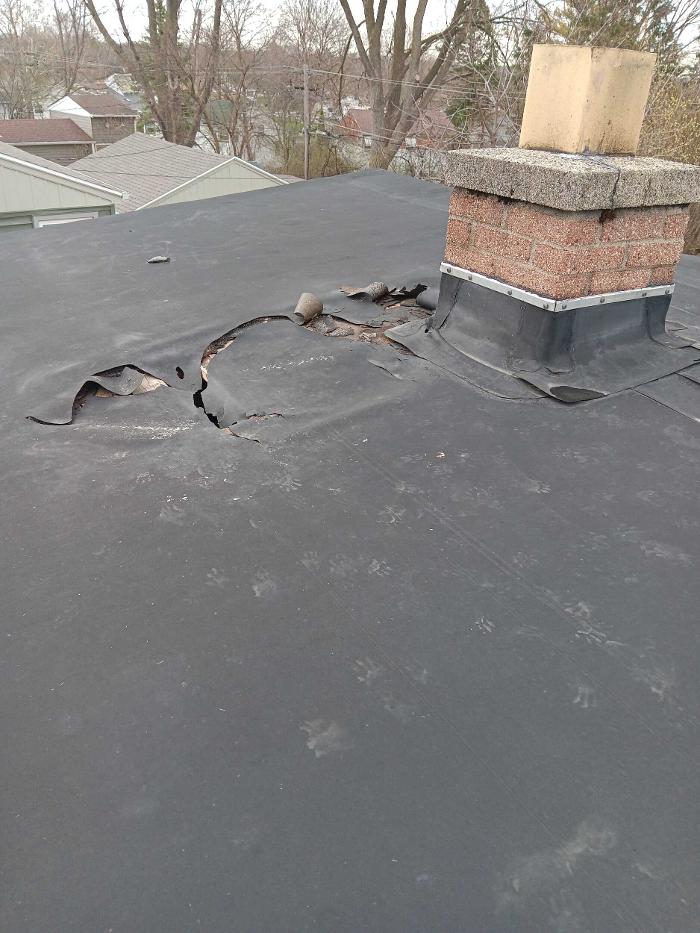 Damage Control Inc - New Berlin, WI