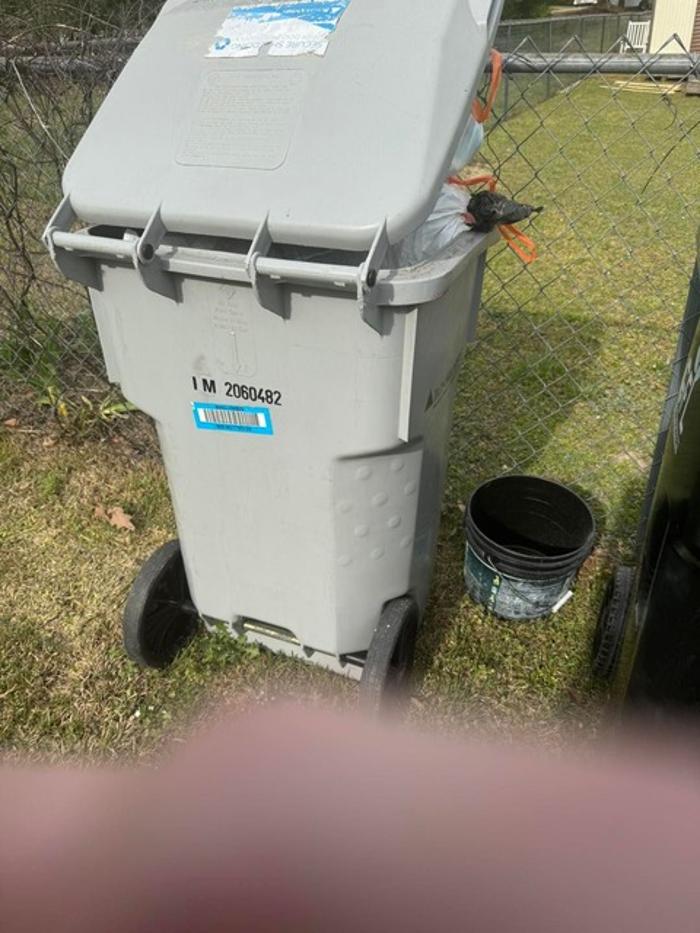 Construction Wipeout - Raleigh, NC