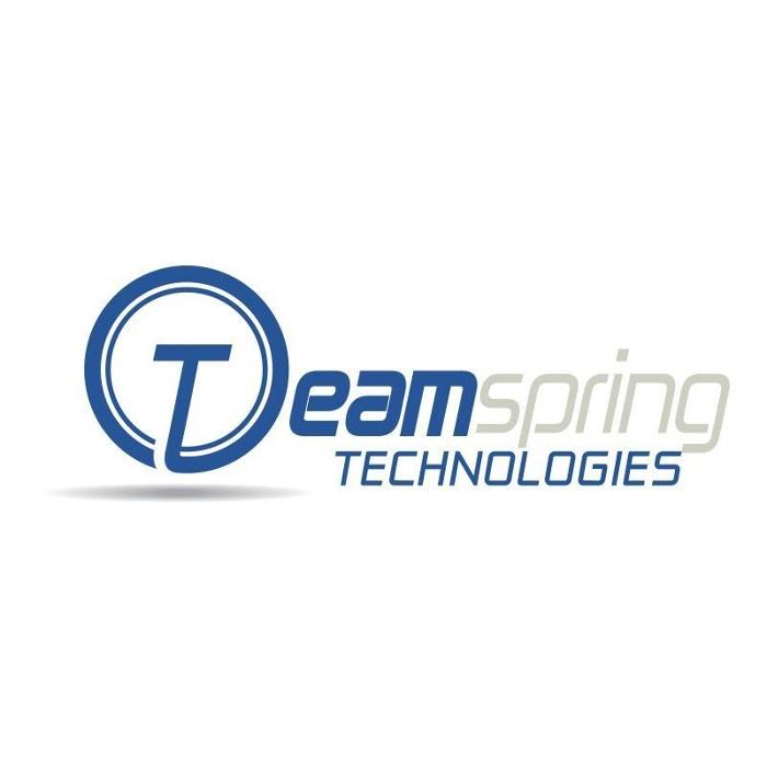 Teamspring Technologies - Buford, GA