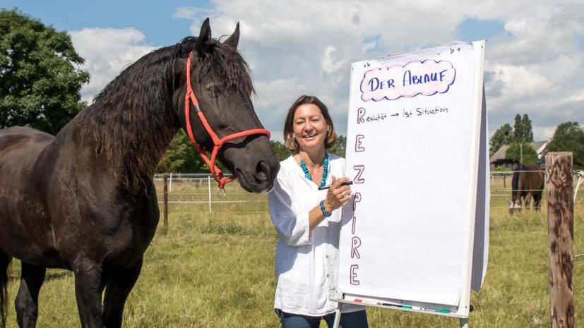 EQzellent - Bildungszentrum für pferdegestützte Coachings, Rehfeld in Neunkirchen-Seelscheid