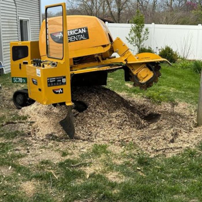 B & C Tree Service - Delavan, IL