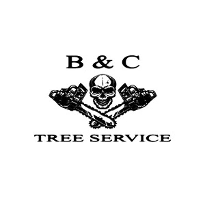 B & C Tree Service - Delavan, IL