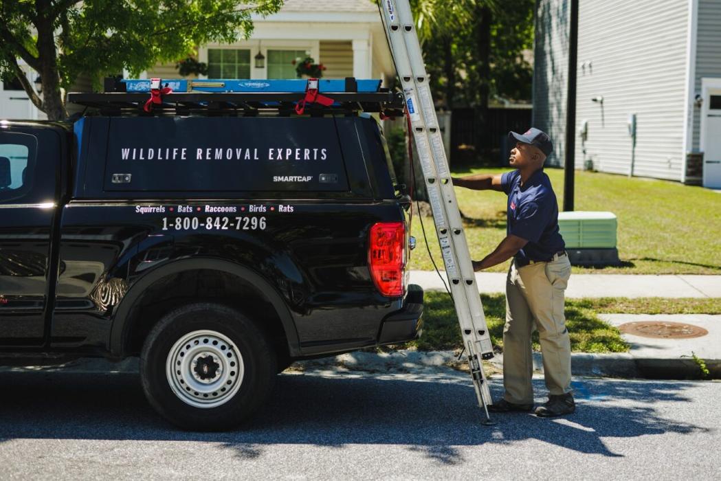 Critter Control - Peachtree City, GA