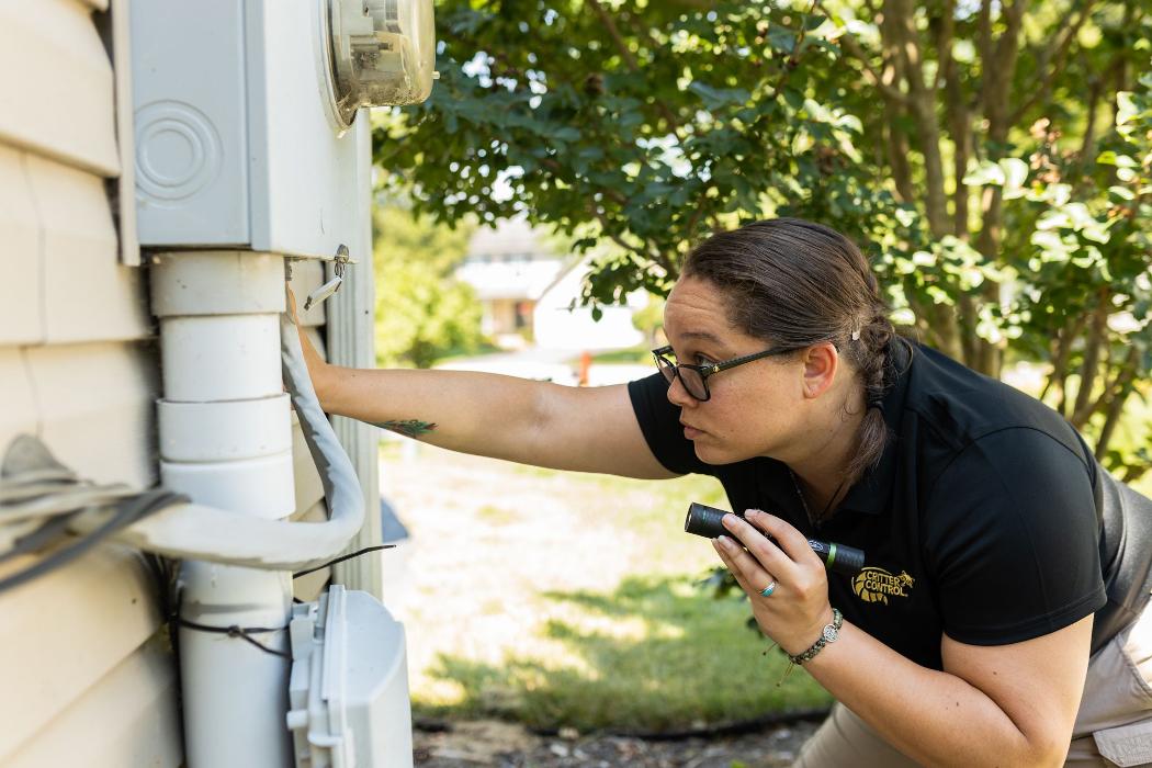 Critter Control - Peachtree City, GA