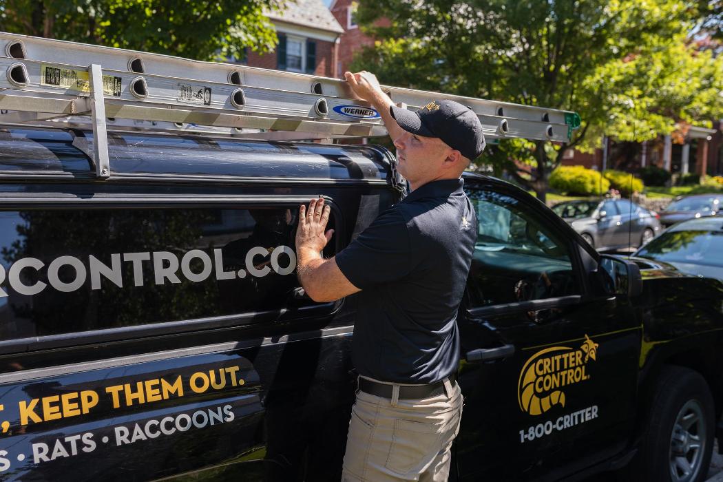Critter Control - McDonough, GA
