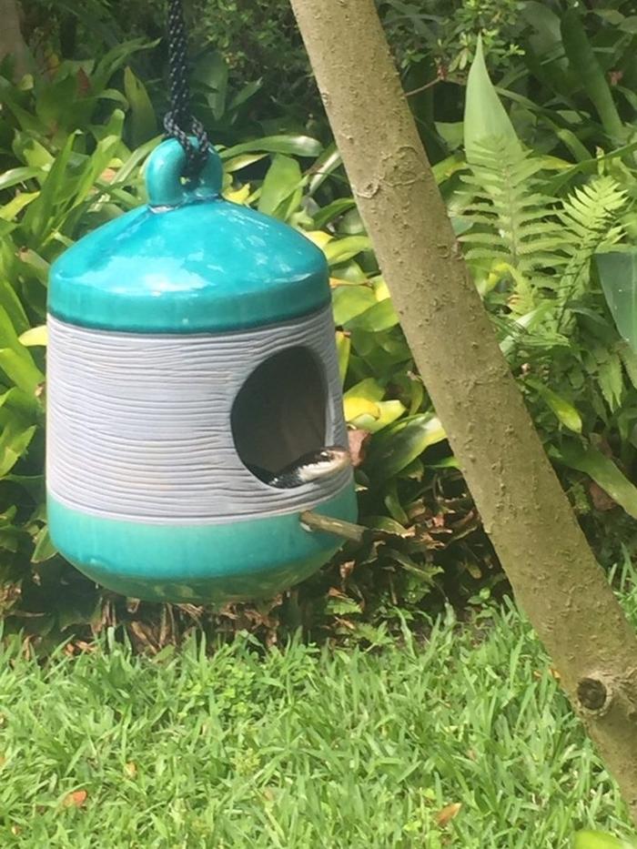 Critter Control - McDonough, GA