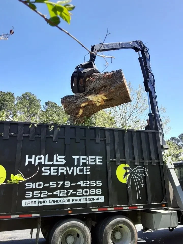 Hall's Tree Service Image