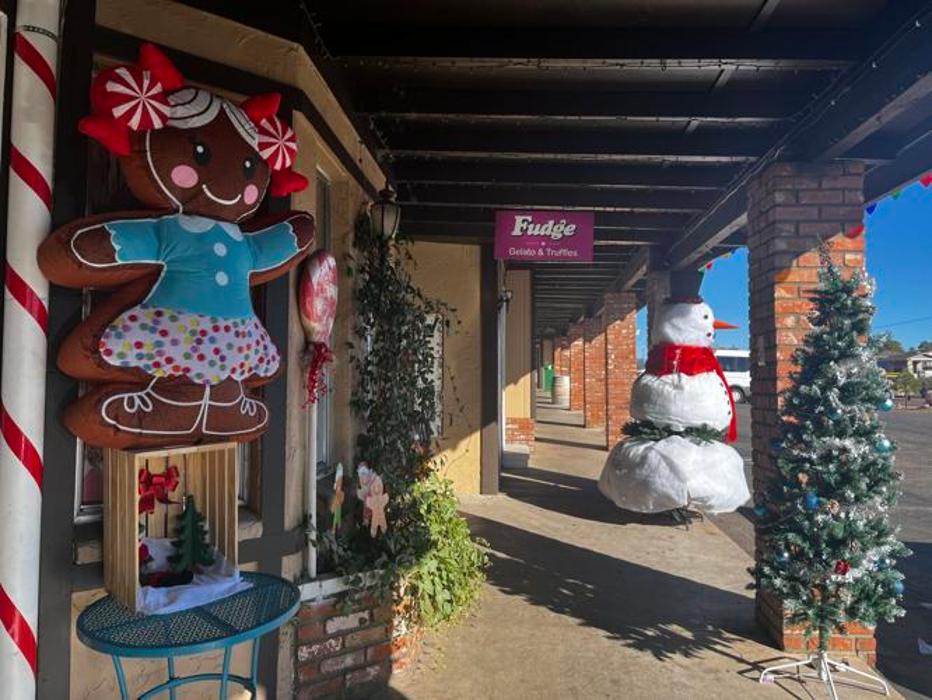 Brian Inman - Mountain Bear Team WestUSA Realty Image