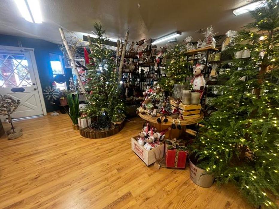 Brian Inman - Mountain Bear Team WestUSA Realty Image