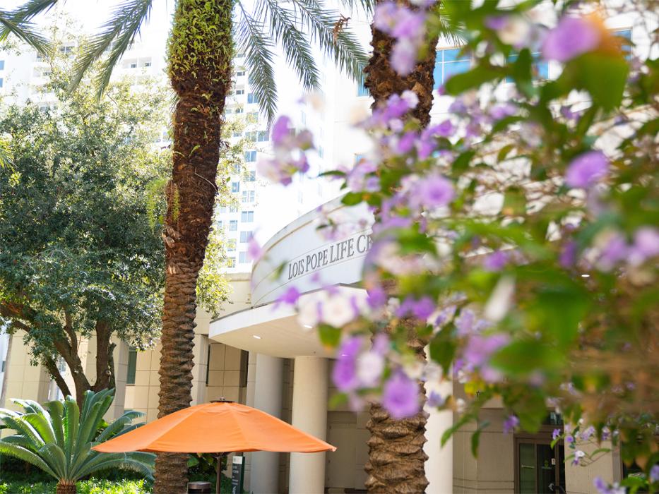 University of Miami Leonard M. Miller School of Medicine Image