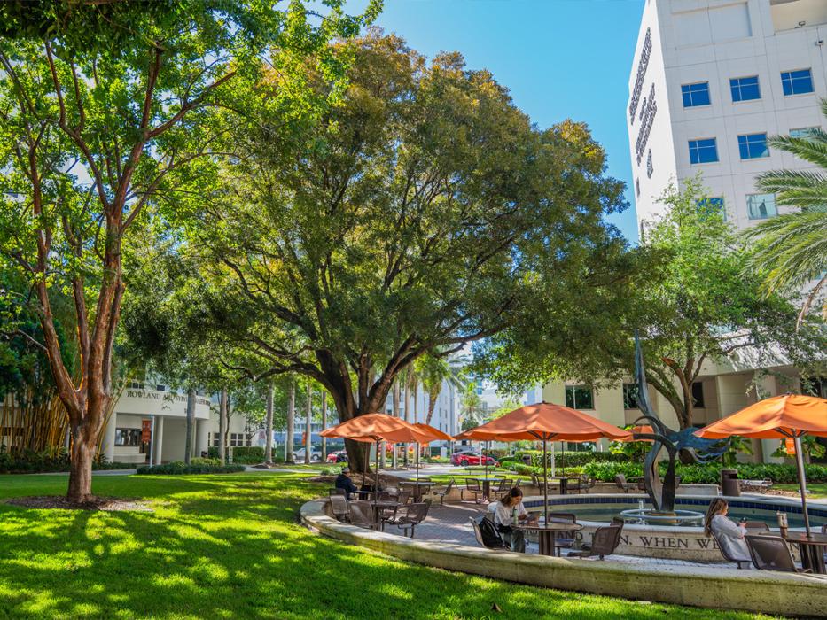 University of Miami Leonard M. Miller School of Medicine Logo