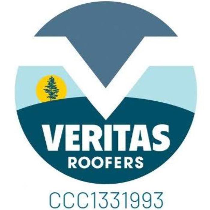 Veritas Roofers Image