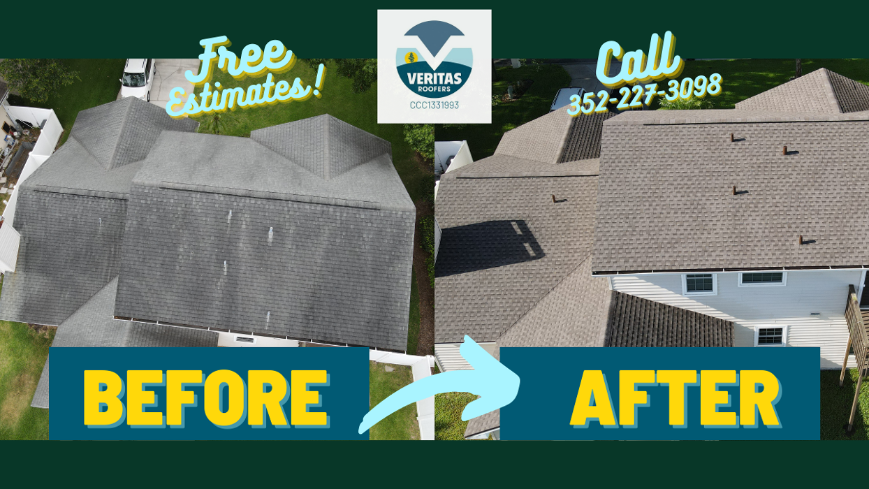 Veritas Roofers Image