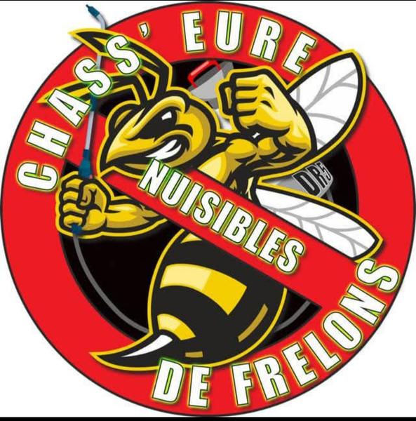 Chass'eure de Frelons vidange et curage