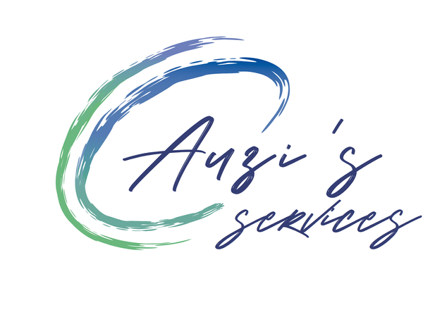 AUZI'S SERVICES vidange et curage