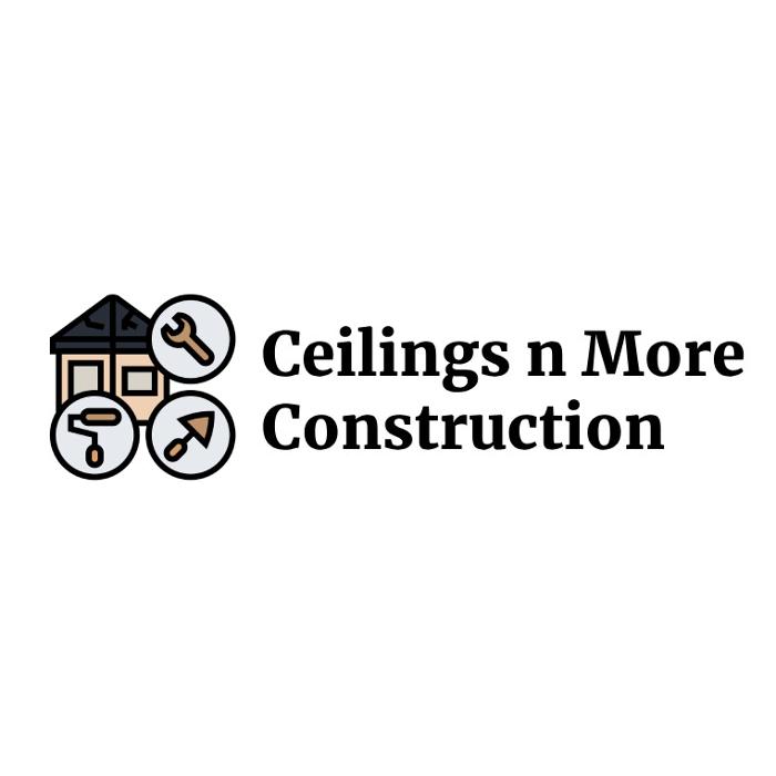 Ceilings n More Construction - Charlotte, MI