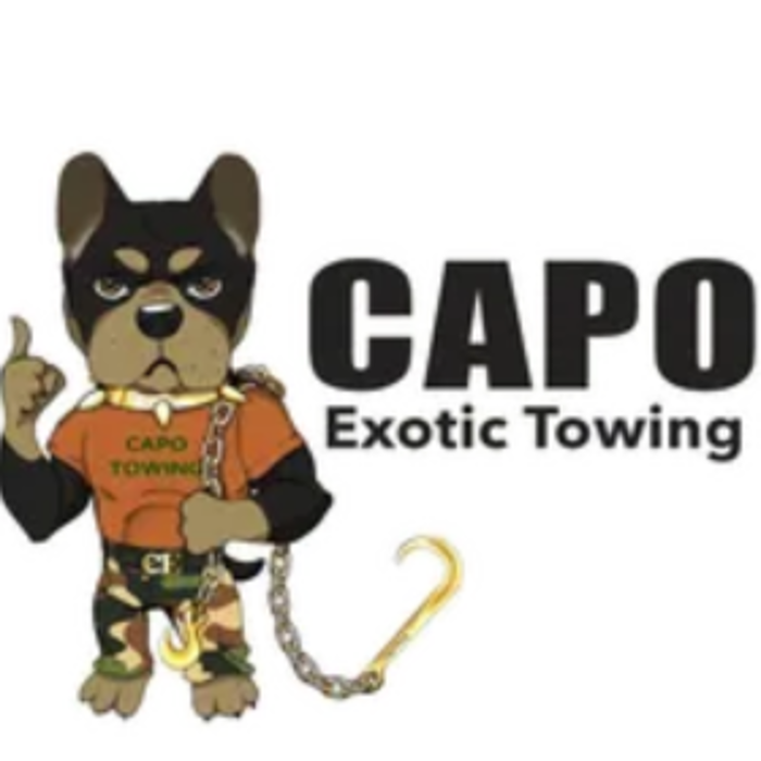 CapoExotic Towing - Roberta, GA