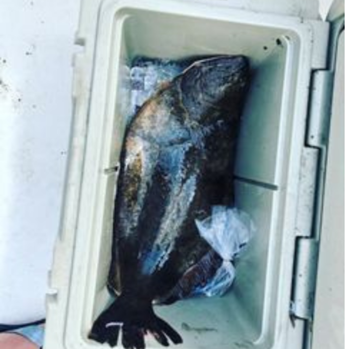 Moondog Fishing, LLC - Randolph, NJ