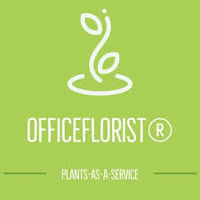 Officeflorist - Bürobepflanzung und Pflege mit Garantie