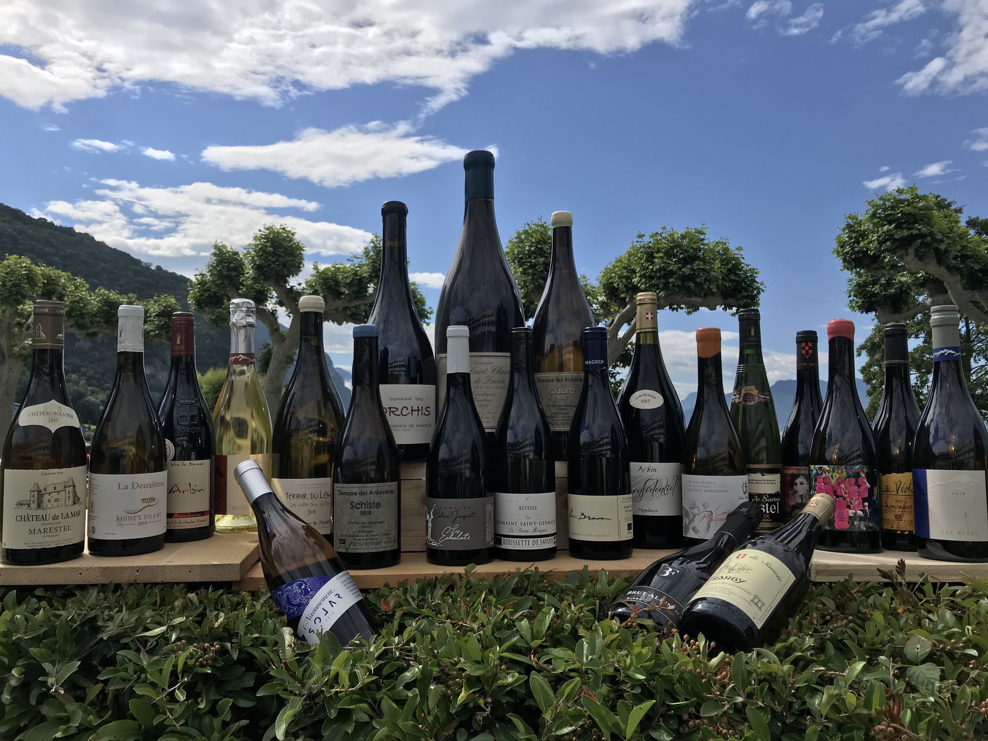 galerie image galerie image