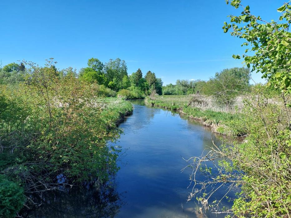 Praxis für Psychotherapie & Systemische Beratung - Aika Madlener (HeilprG), Buchloer Straße in Landsberg am Lech