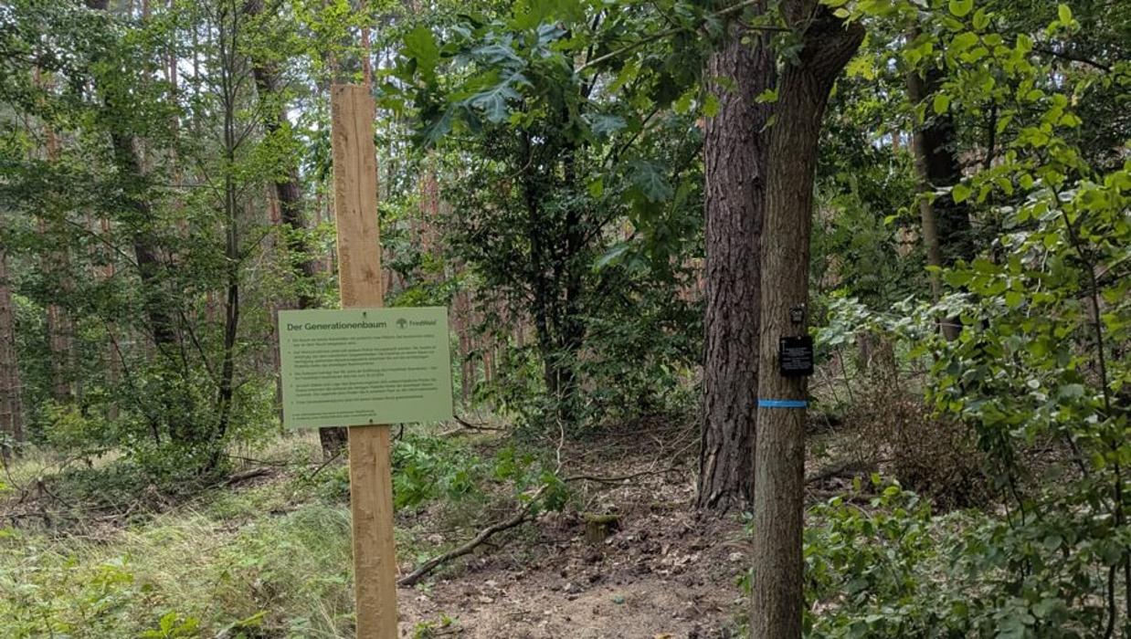 FriedWald Oberkrämer, Wansdorfer Chaussee in Oberkrämer