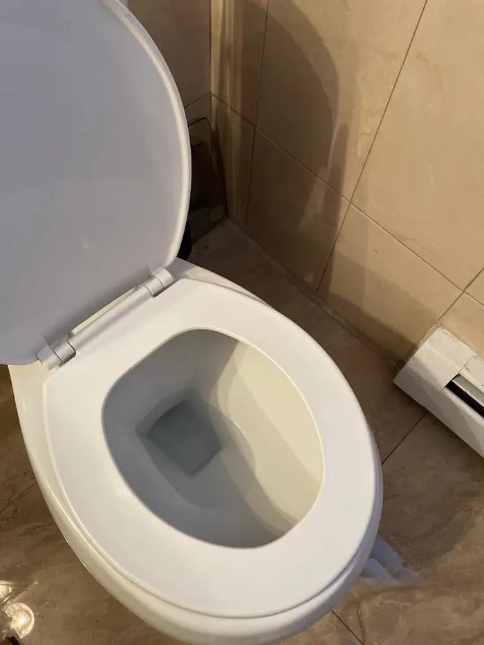 Service Professionals Logo