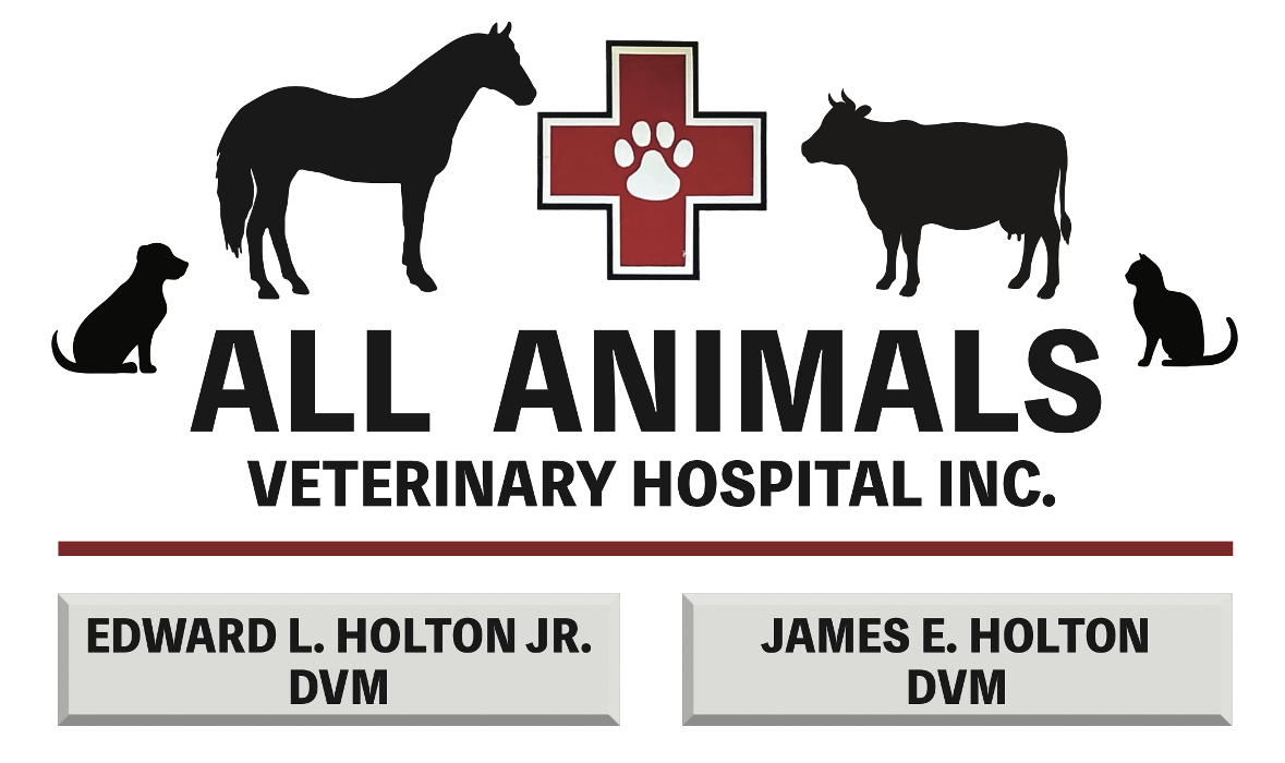 All Animals Veterinary Hospital