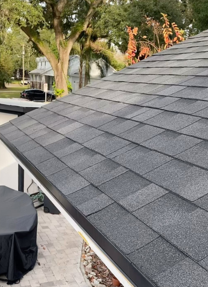 The Roofologist Image