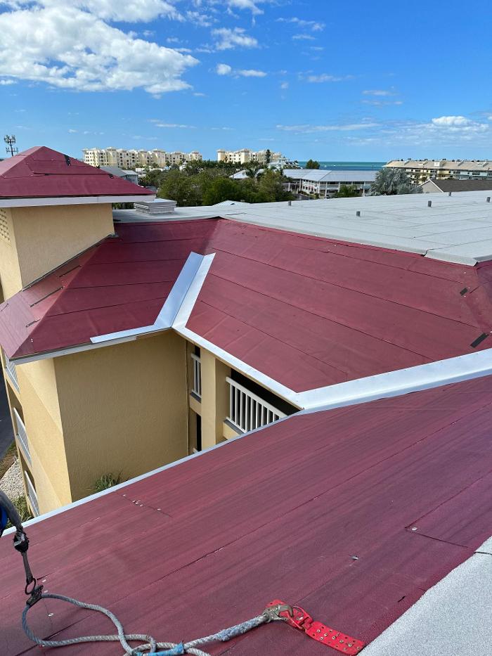 The Roofologist Image