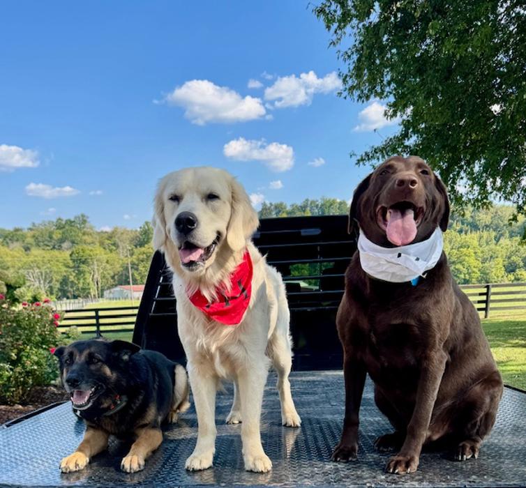 7H Roofing and Construction Image