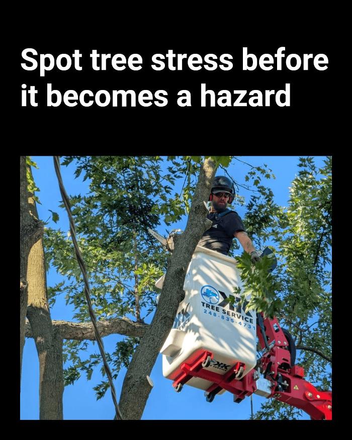 K N K Tree Service, LLC Image