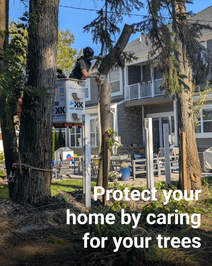 K N K Tree Service, LLC Image