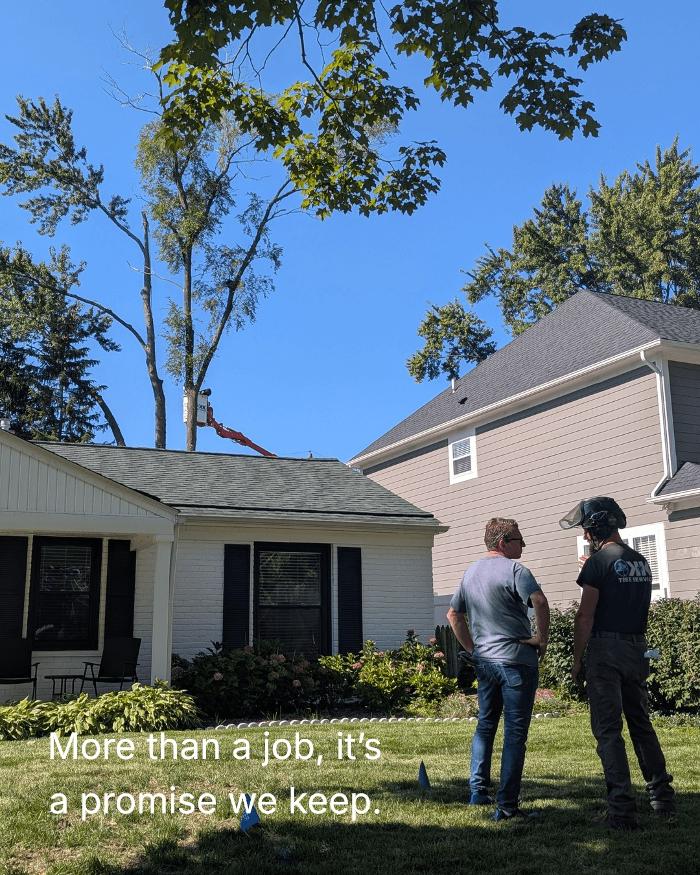 K N K Tree Service, LLC Image