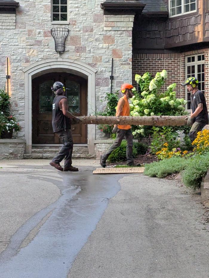 K N K Tree Service, LLC Image